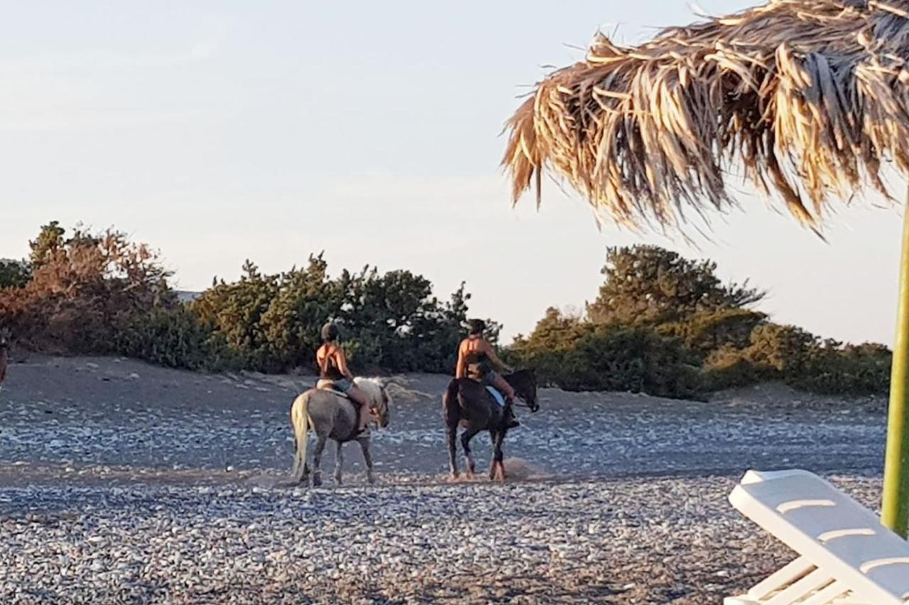 Cedrus And Sea, Beachfront House, Gennadi, Rhodes Экстерьер фото